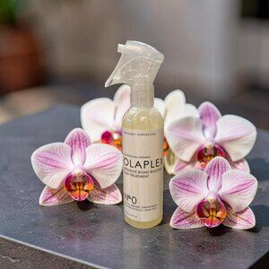 Olaplex No. 0 Intensive Bond Building Hair Treatment 5.42 oz